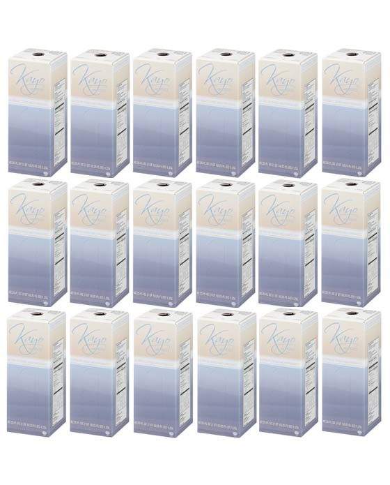  Kayo 1.25 Liter Cafi-Lait Milk Concentrate (Eighteen)