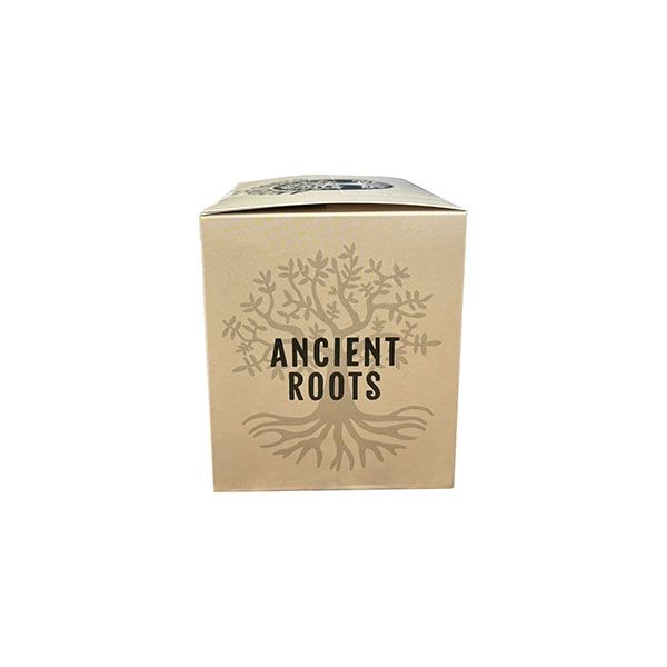  Ancient Roots Single Serve Mushroom Coffee, Made With Chaga And Lion's Mane, 100% Arabica, Medium Roast, (French Vanilla) (72 Count)
